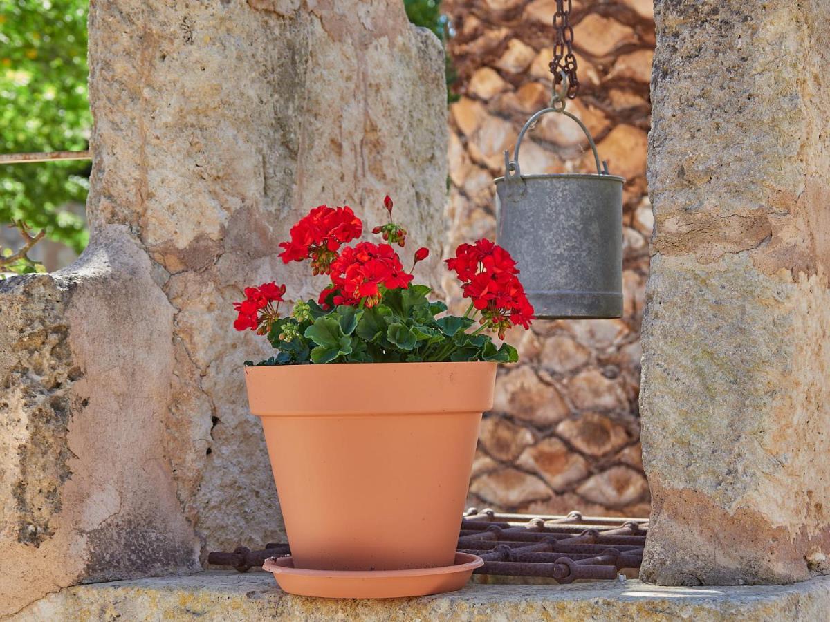 Hotel Sa Barcella Ti 64 Sineu (Mallorca)